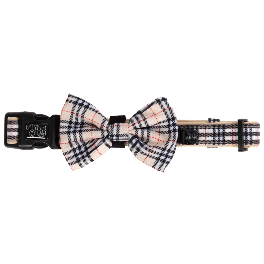 HUNDEHALSBAND & FLIEGE: Nova Plaid