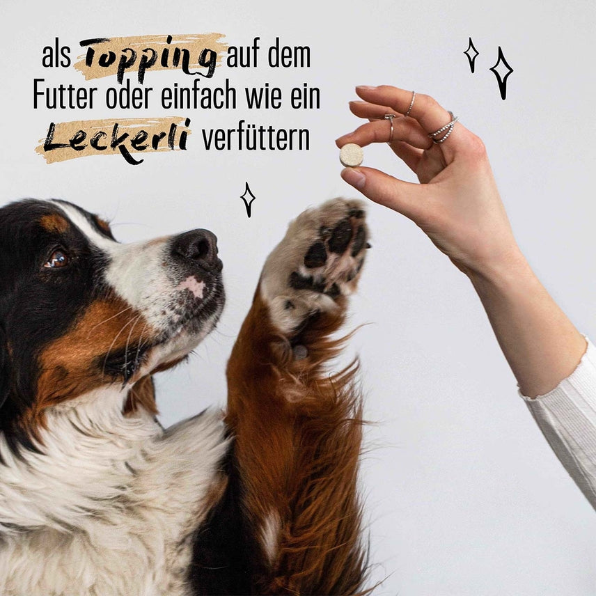 Spielfreude Tabletten, Gelenktabletten für Hunde - Alphazoo / 75gr.