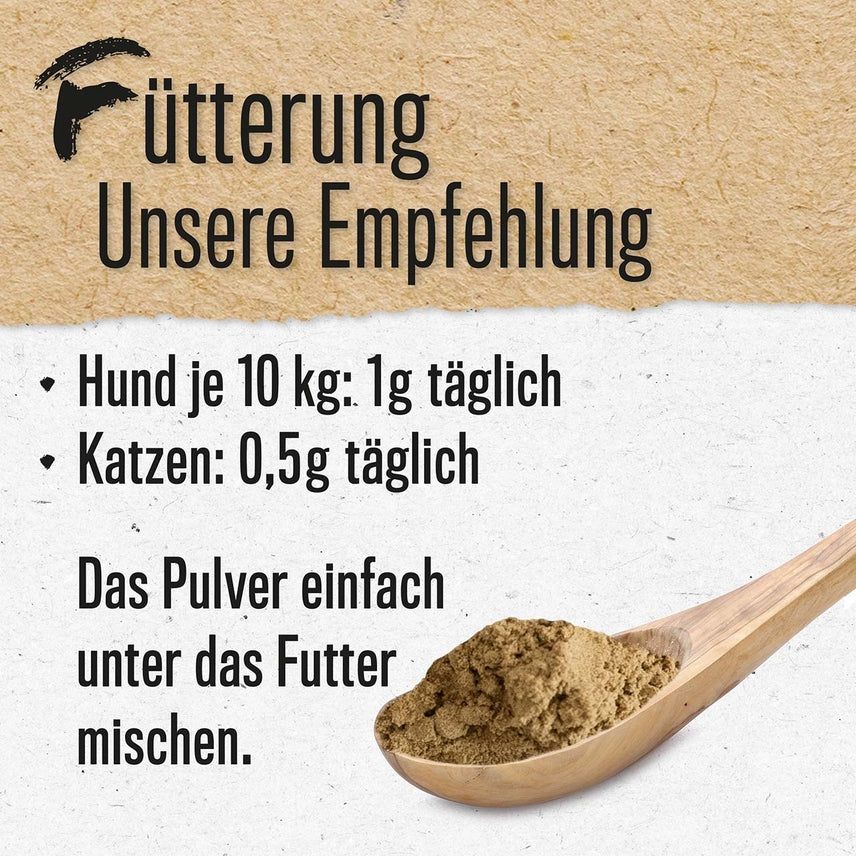 Premium Grünlippmuschel Pulver, Vollfett für Hunde & Katzen / 100gr.