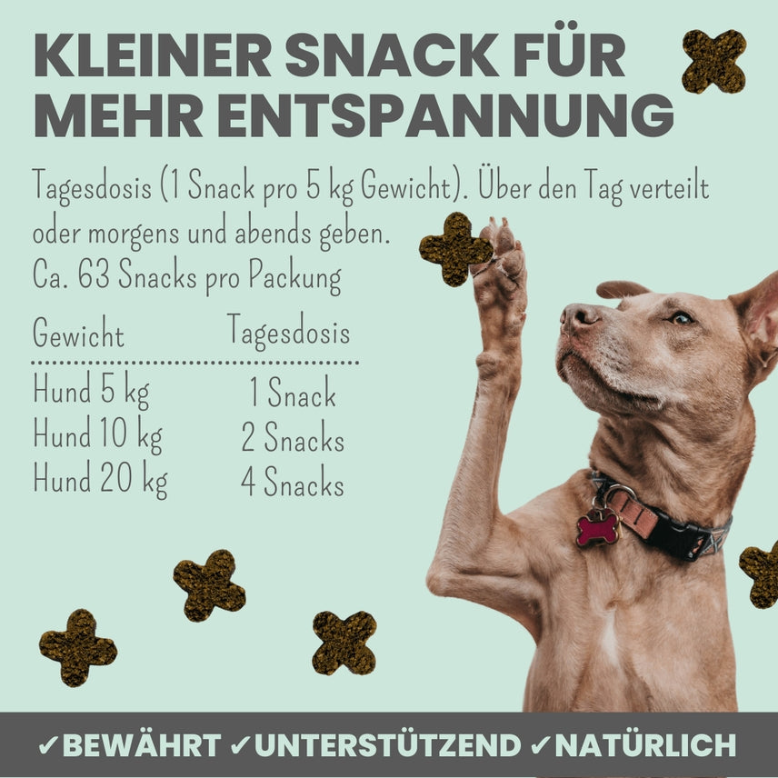 Wohlfühlsnacks für Hunde bei Stress, Angst, Unruhe