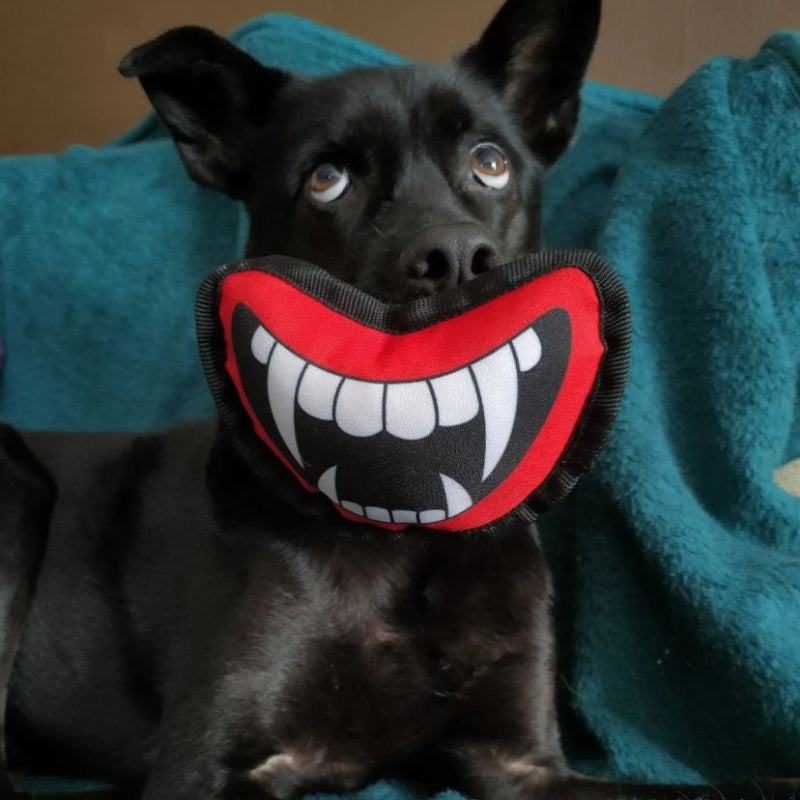 WufWuf Vampire Fangs Hundespielzeug aus Plüsch