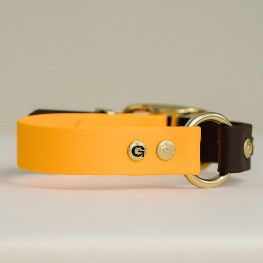 Gula Halsband / Orange und Braun (25 mm breit)