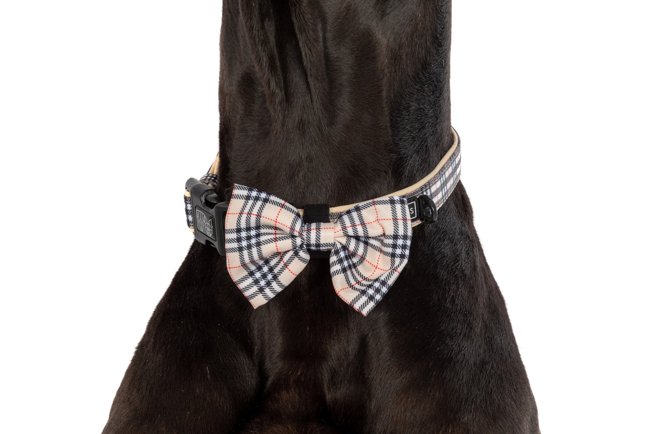 HUNDEHALSBAND & FLIEGE: Nova Plaid